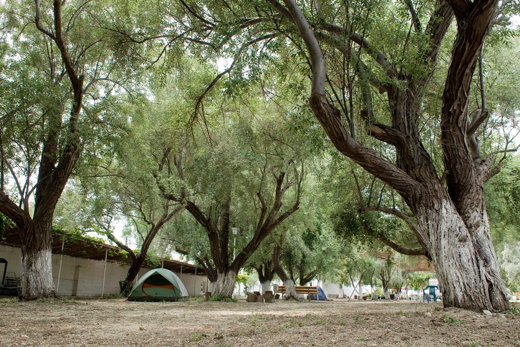 Camping Koula Páros Pokój zdjęcie